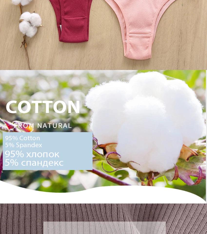 5PCS/Set Cotton Lingerie Panties