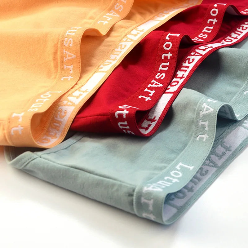 3PCS/Set Women Cotton Solid