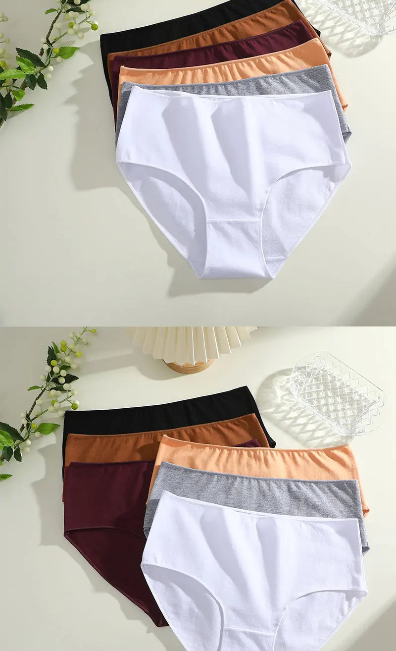 4Pcs/Set Comfort Cotton Panties